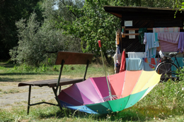 Ausstellung Spuren des Lebens