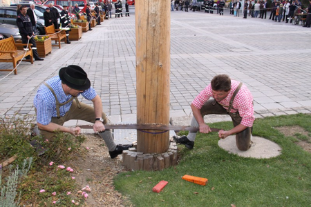 Maibaum Umschneiden